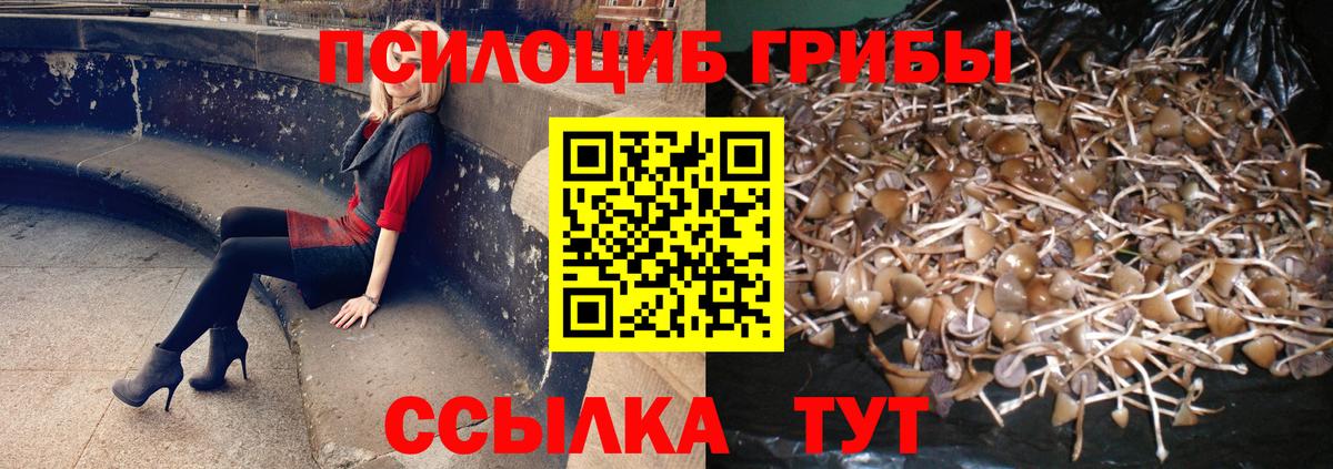 Амурск  Псилоцибиновые грибы мицелий  Вход с VPN 